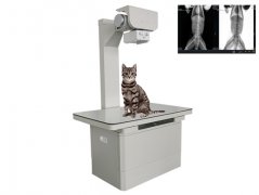 小动物专用高频X光机